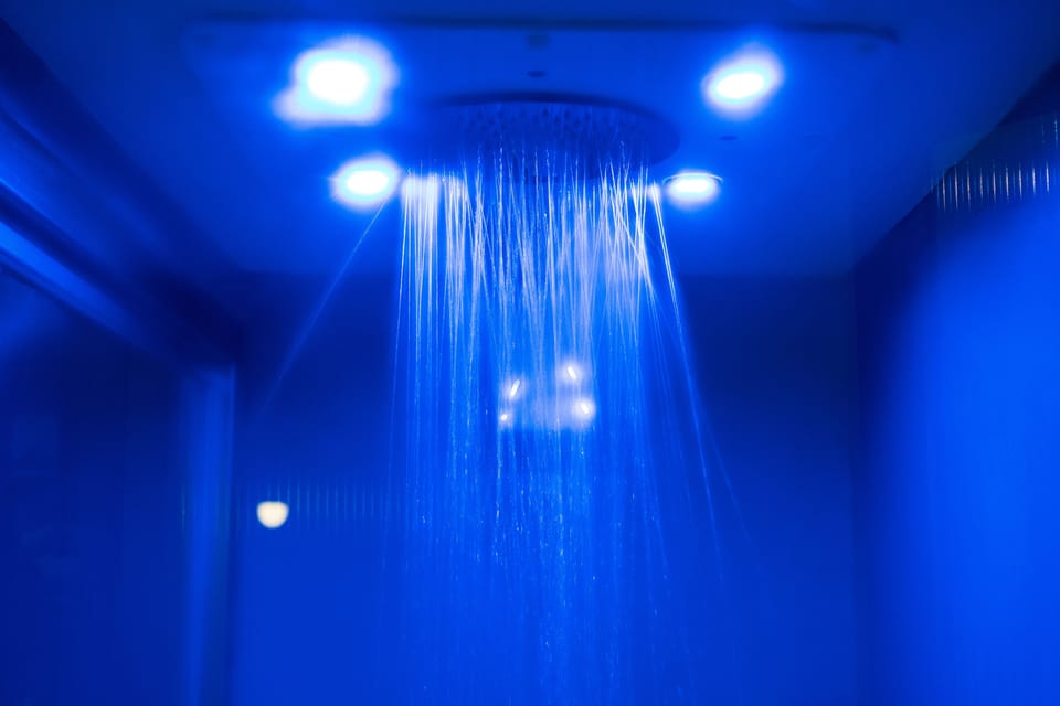 Suite, Sauna (Minerva) | Bathroom shower