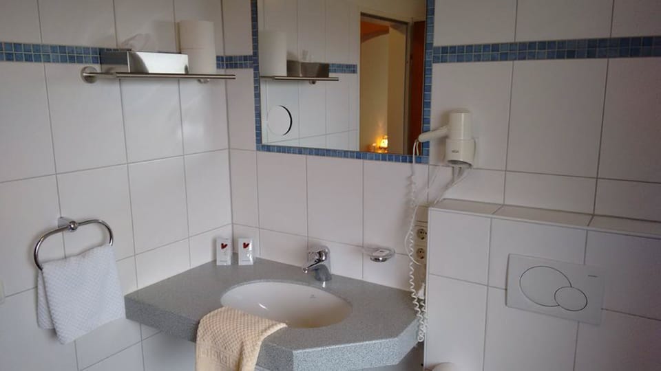 Shower, free toiletries, hair dryer, towels