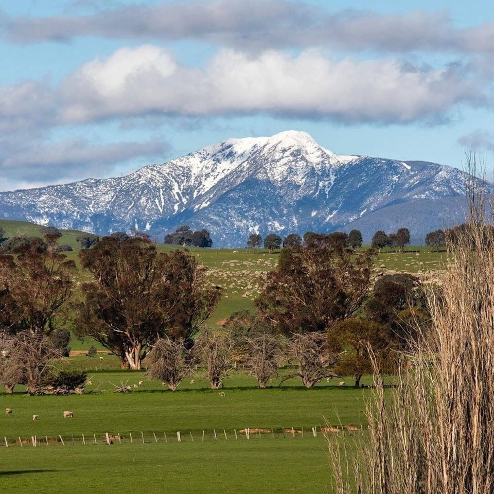 40 kms to base of Mt Buller
