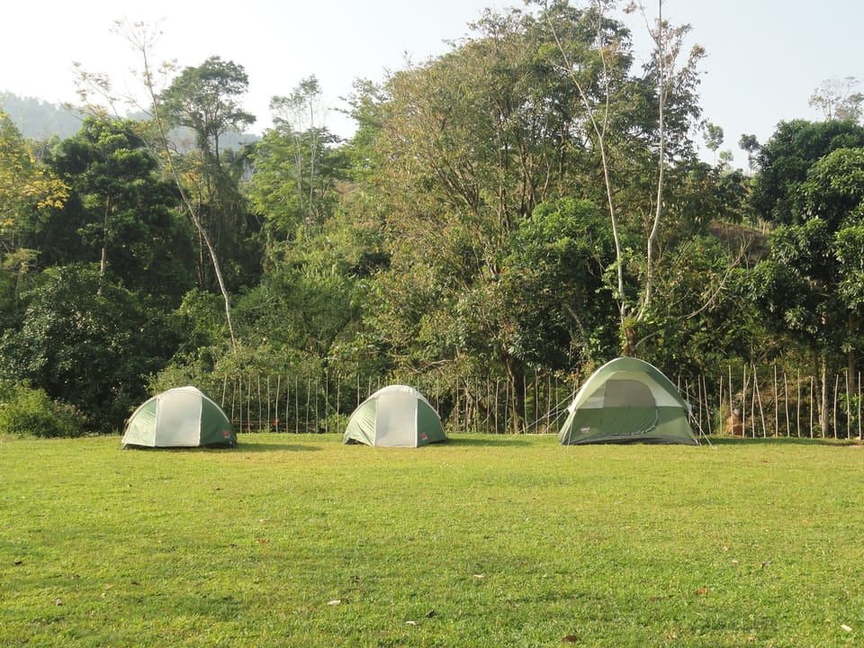 Enjoy a Camping Day