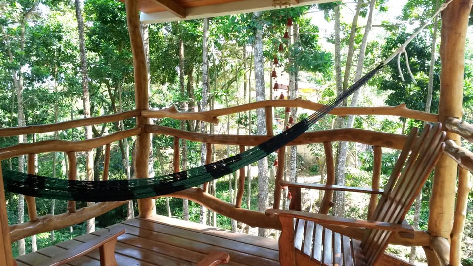 Relax or read a book in a hammock among the tree tops