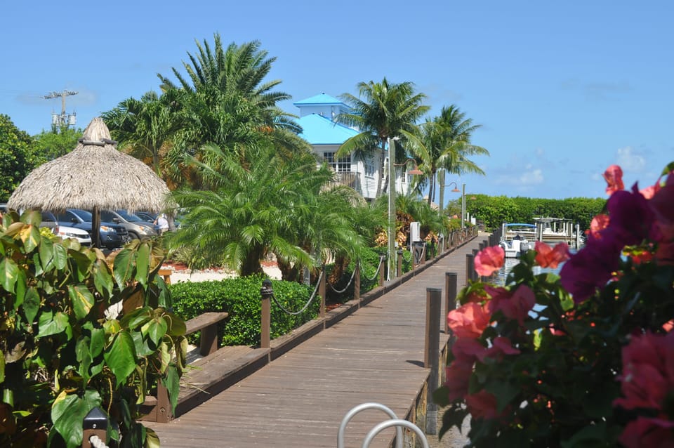 Marina and Boardwalk