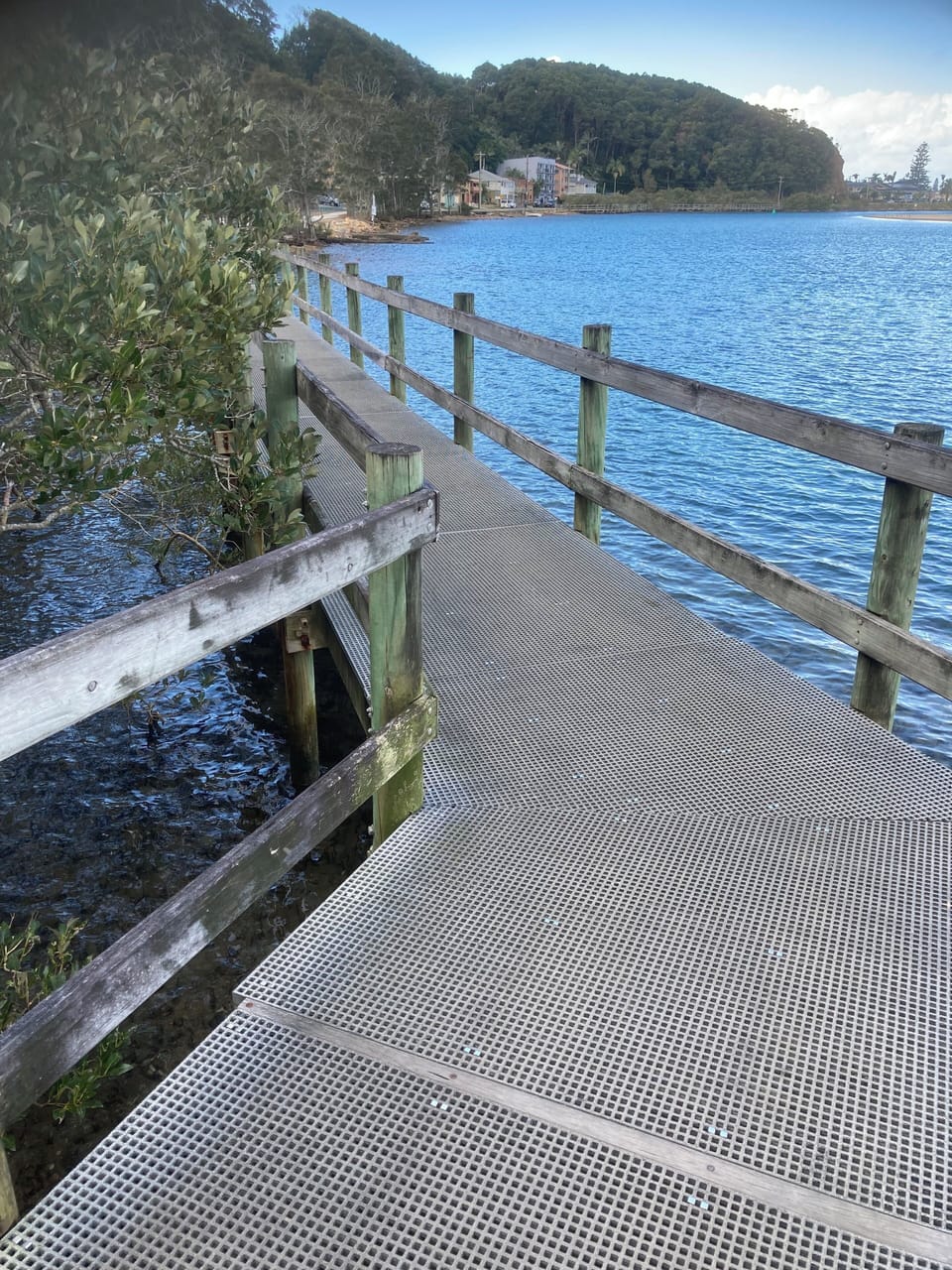 Boardwalk through the Mangroves to the V Wall commences from near the apartment