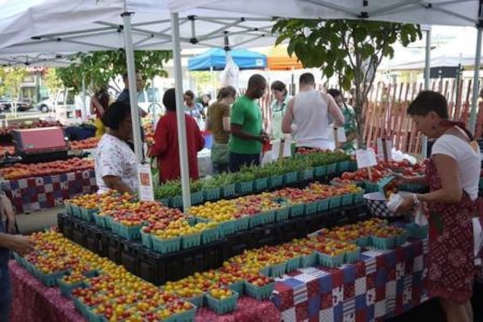 Local Farmers Market. Saturdays and Wednesdays during the summer months