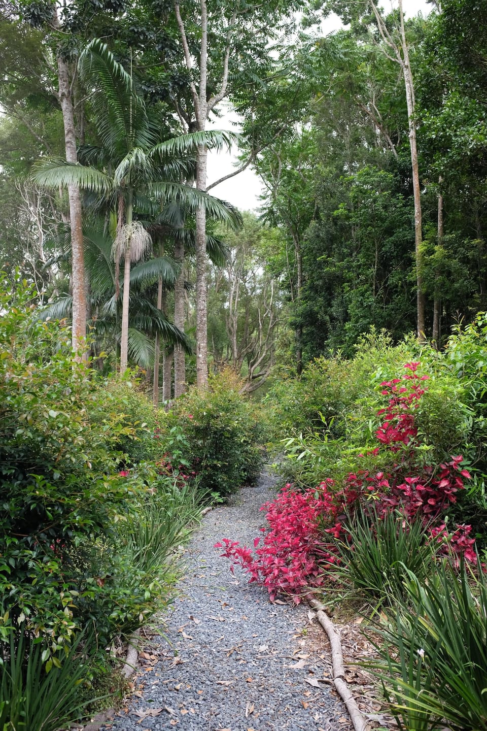 many pathways to explore on this 15 acre rainforest property 