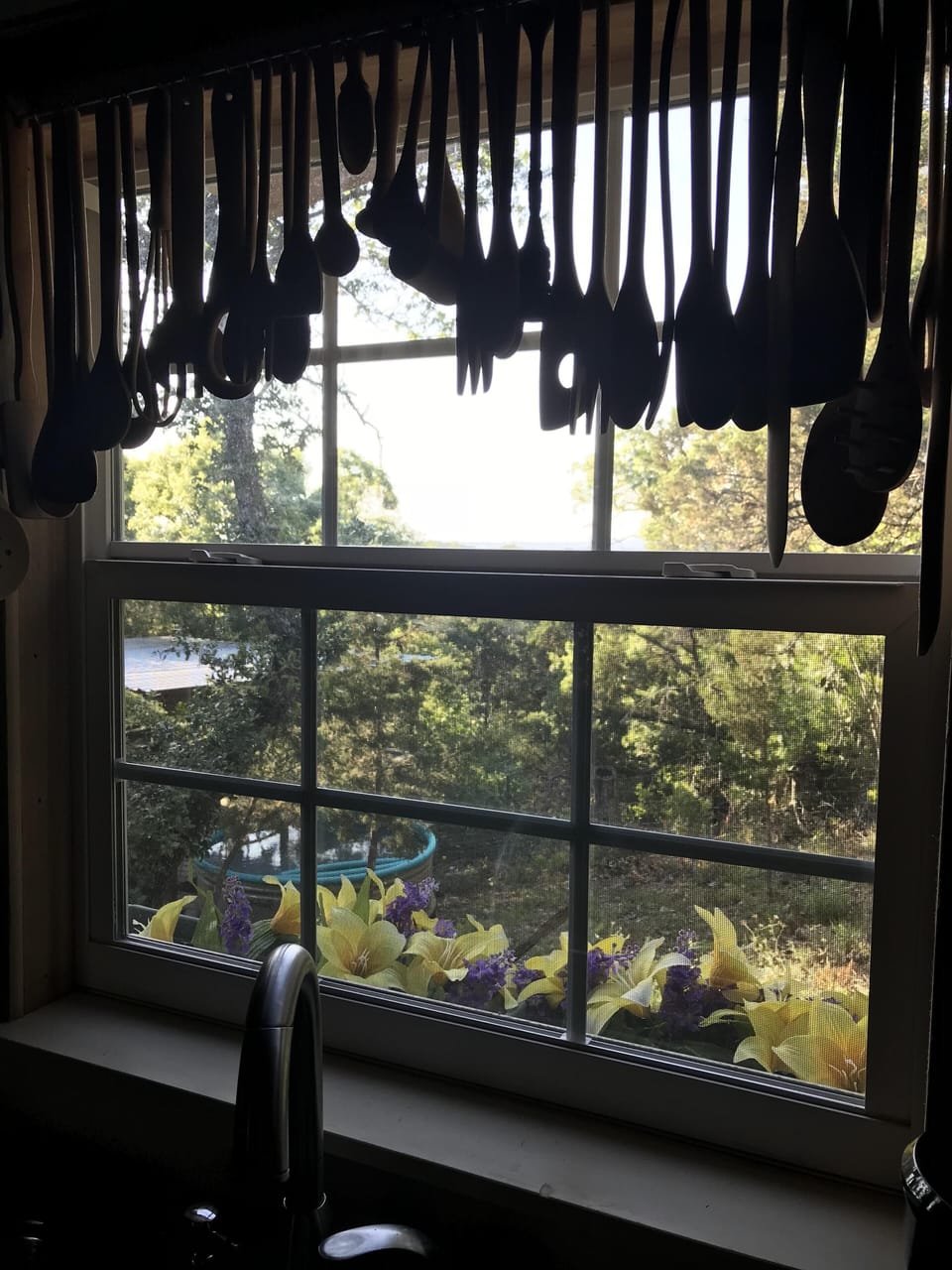 Kitchen Window