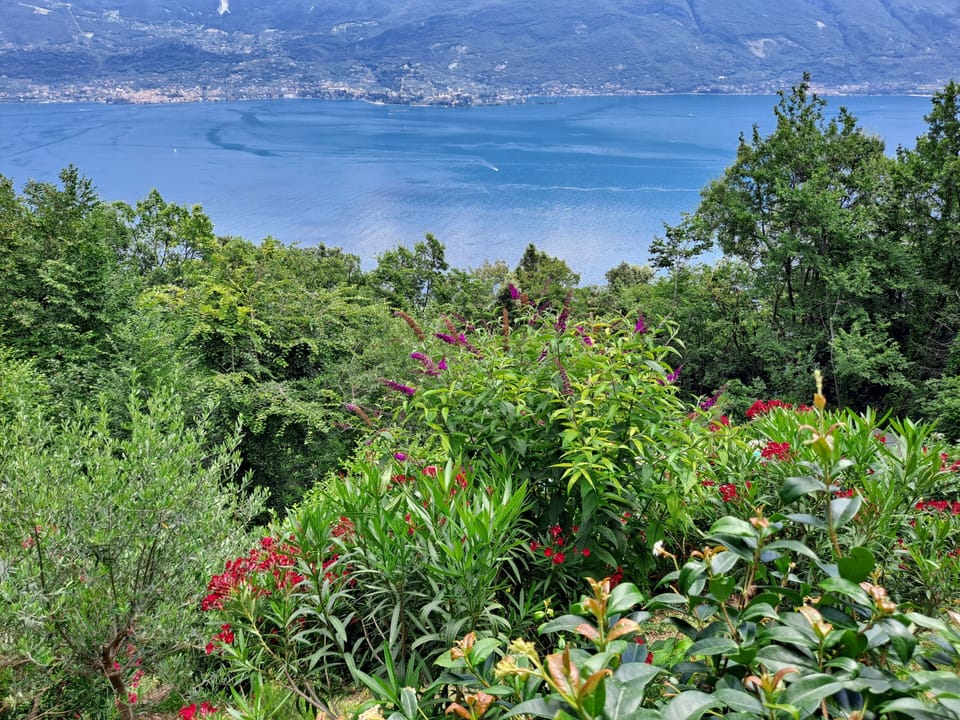 view from the terrace