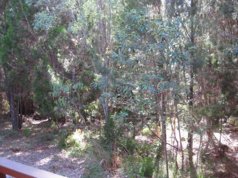 Views from back deck