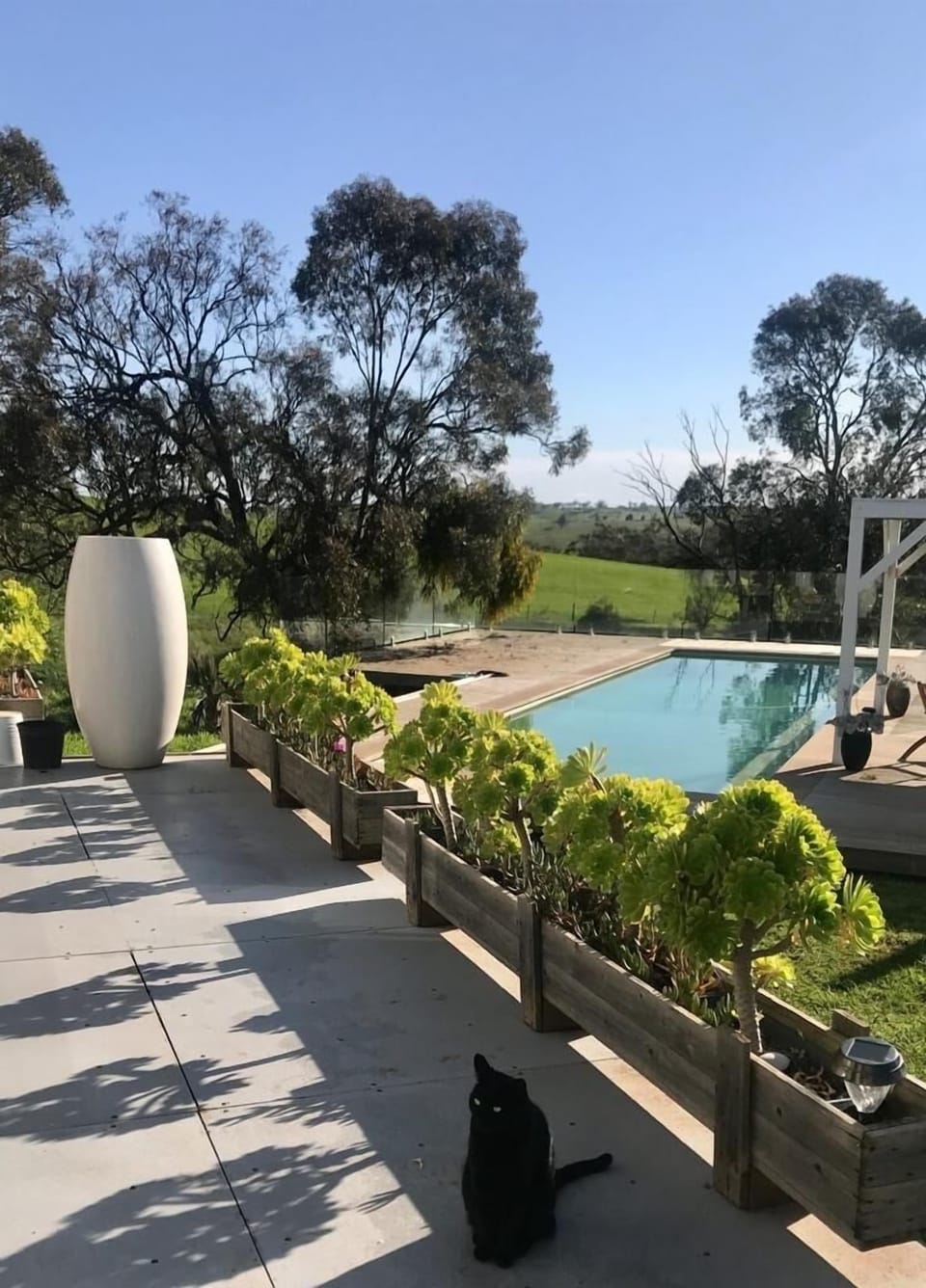 The pool - a winter view