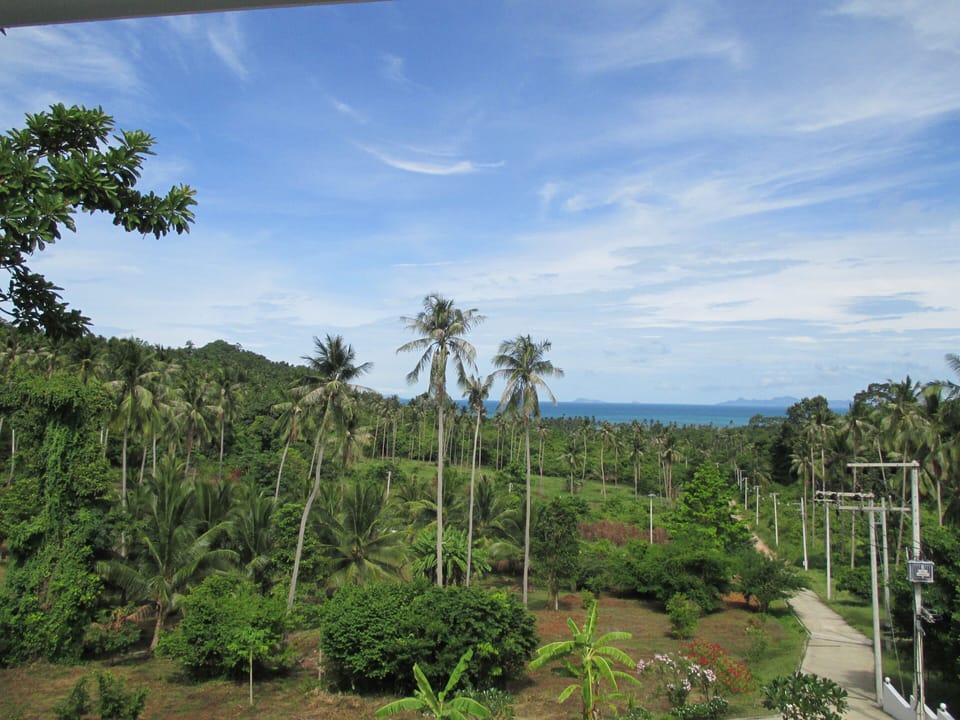 View from property