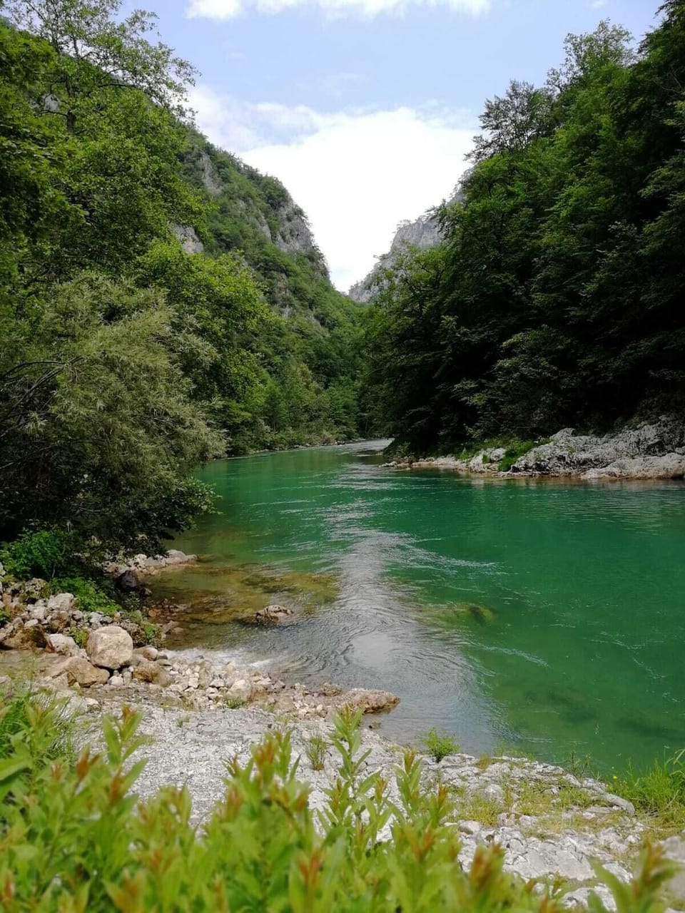 River Tara