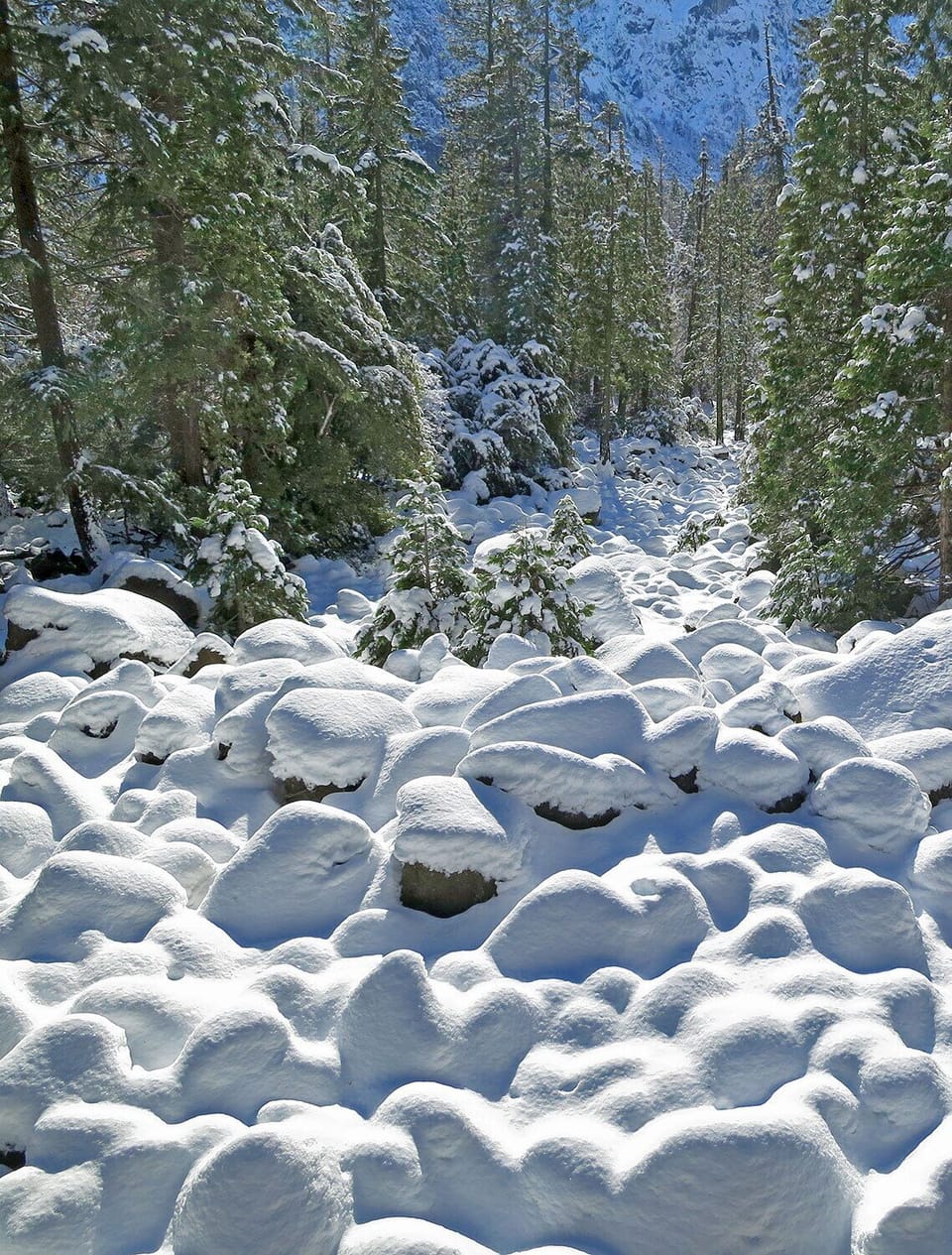 The Merced River.