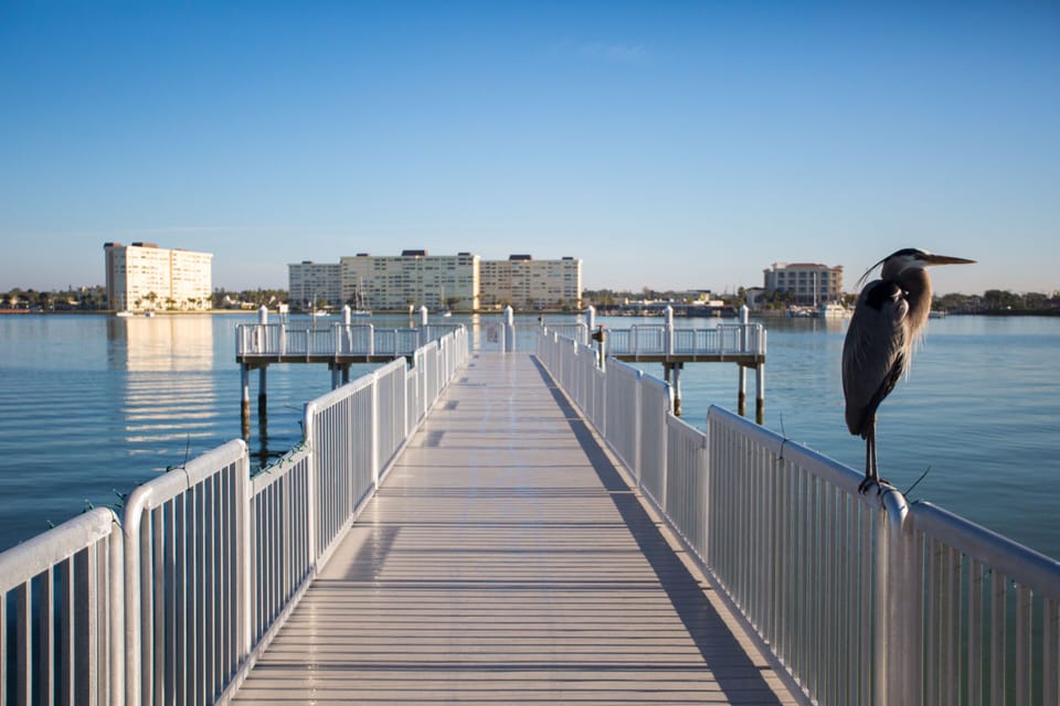 R.O.C. Park Dock