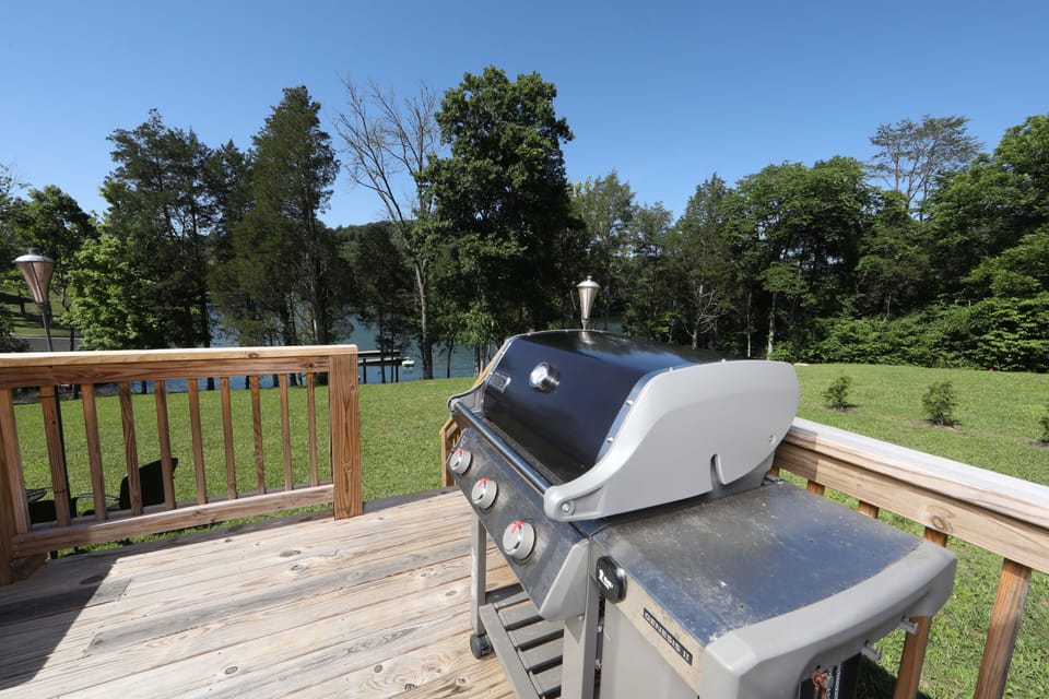Gas grill
