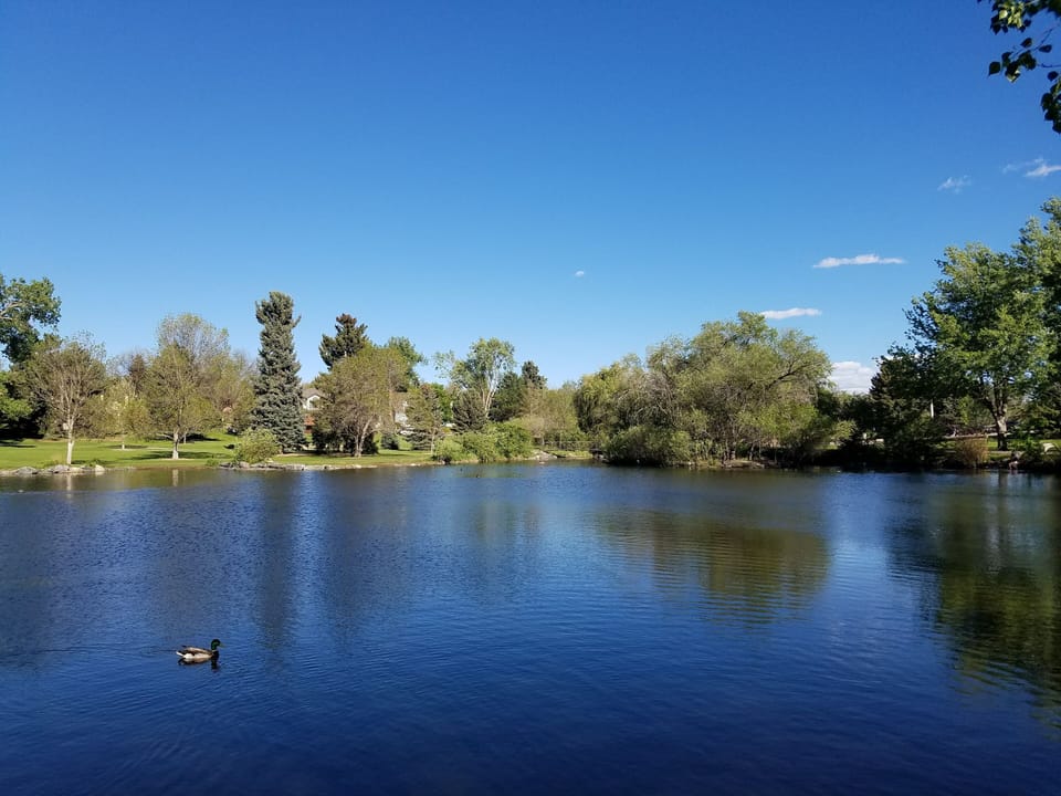 Beautiful Sterne Park is a half block away, next to the Memorial Rose Garden