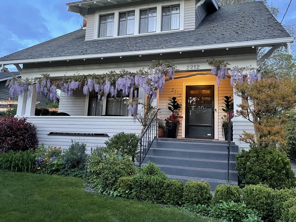 The Wisteria is beautiful in bloom in the spring! 4/21