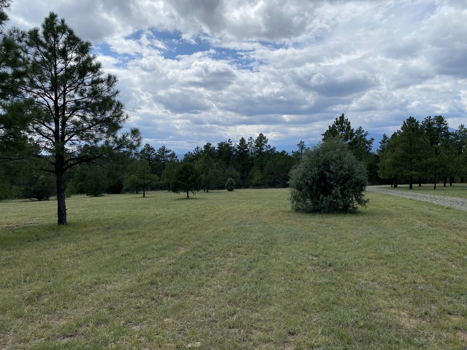 Open spaces for playing ball or running the dogs. Tent and RV spots. 