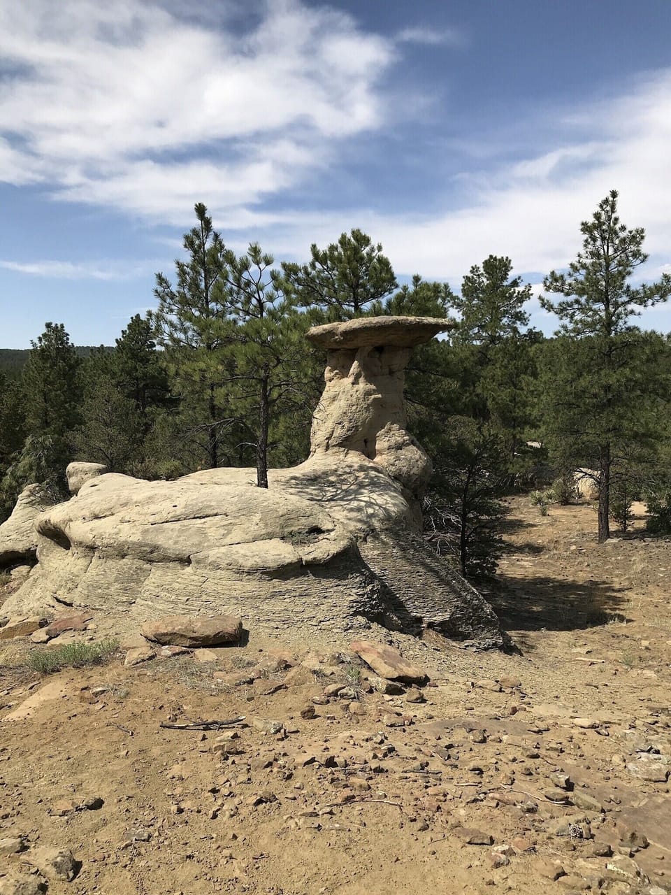 Rocks around the cabin