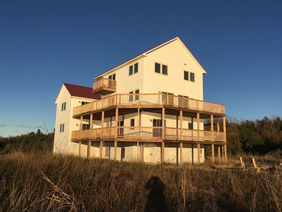 Birch house