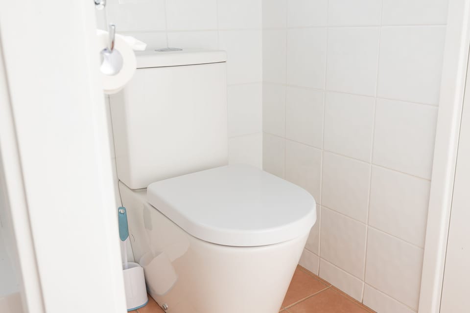 Hunter Gleann Homestead- The main Bathroom. There's even a toilet :-)