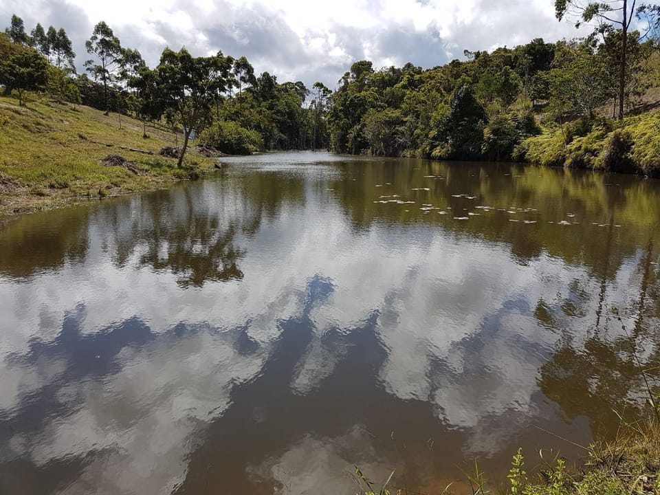 Lake