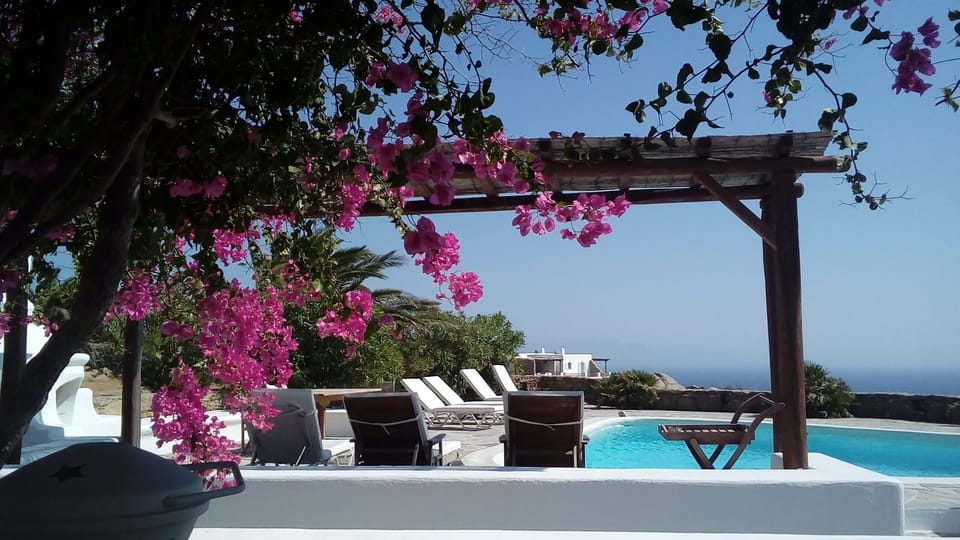 The swimming pool with comfortable sunbeds