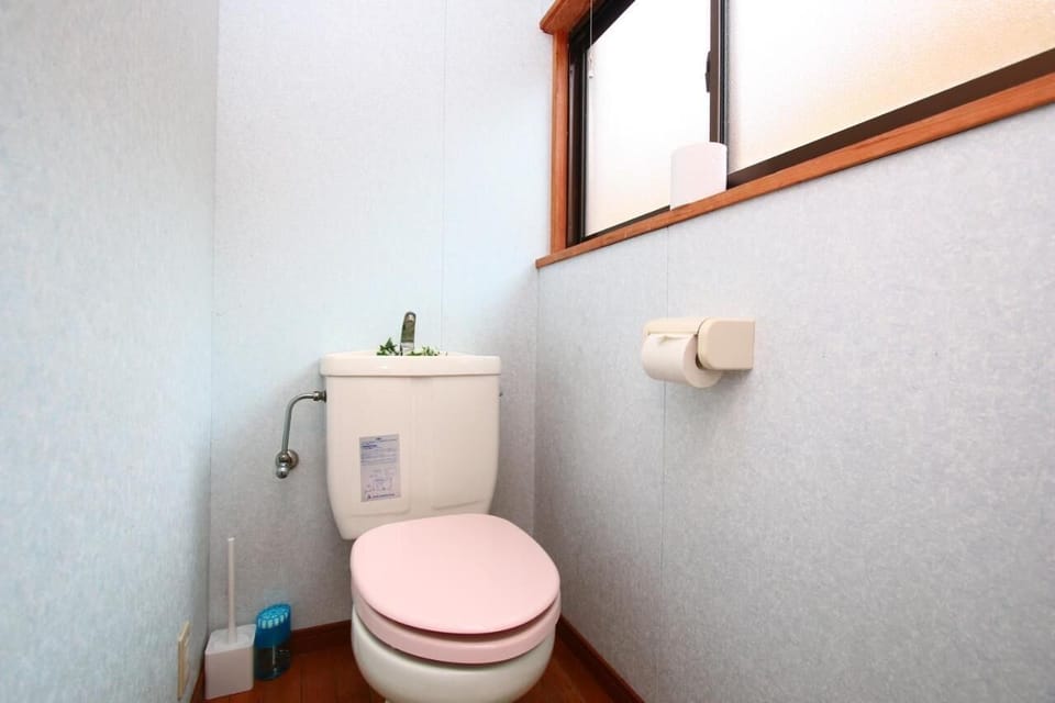 Hair dryer, slippers, towels, shampoo
