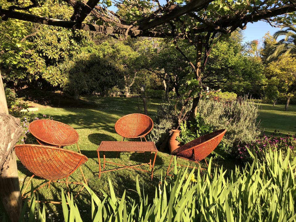 Seating under the grape arbor