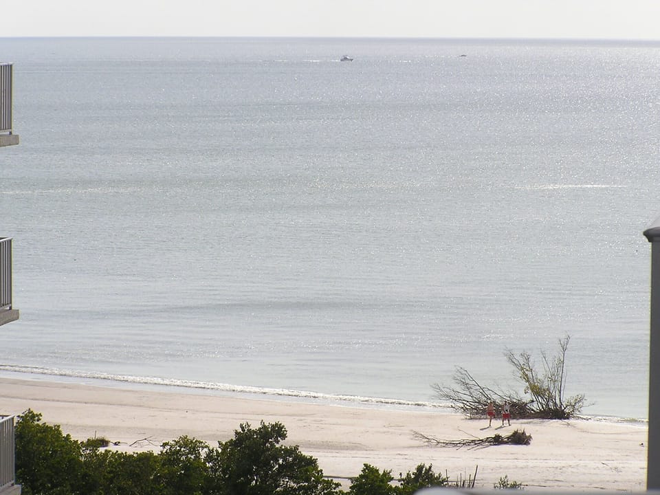 or to search the beach for hidden treasures ...
