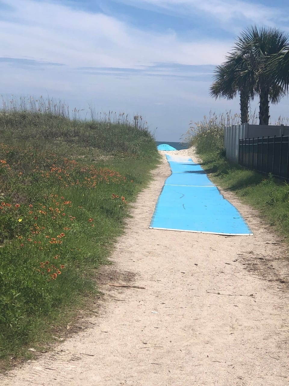 Our path to the beach