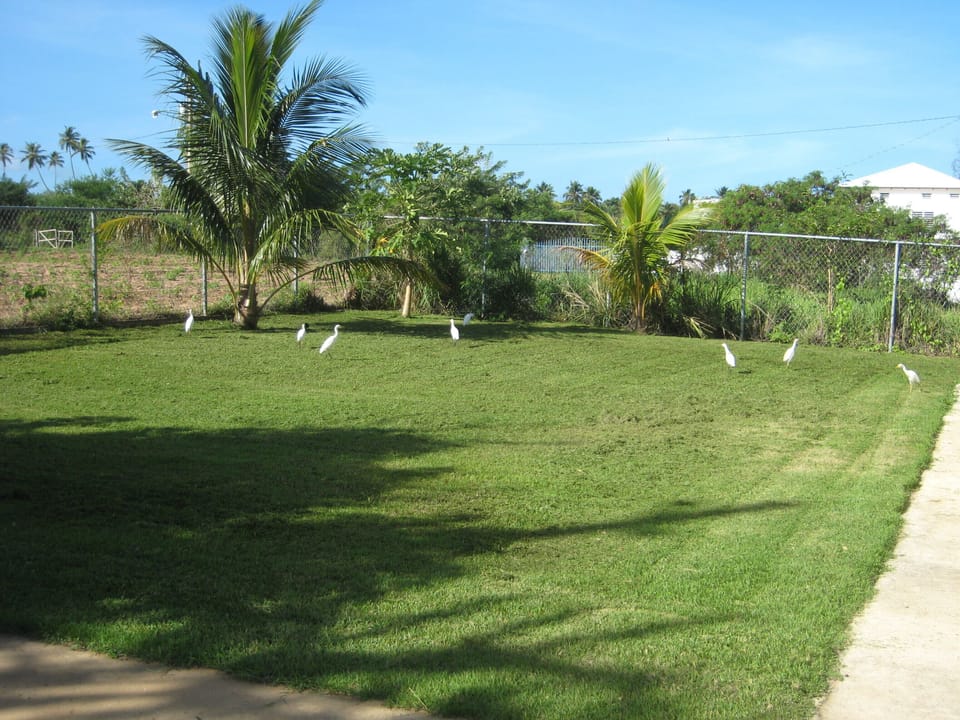 Private fenced in yard.