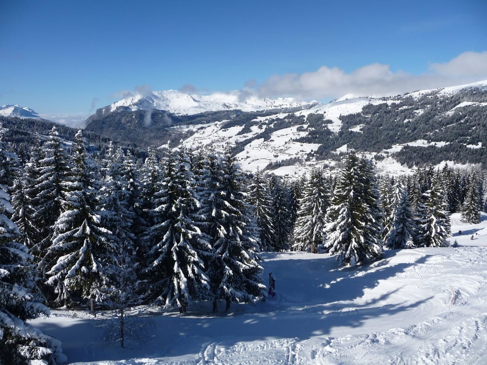 Snow and ski sports