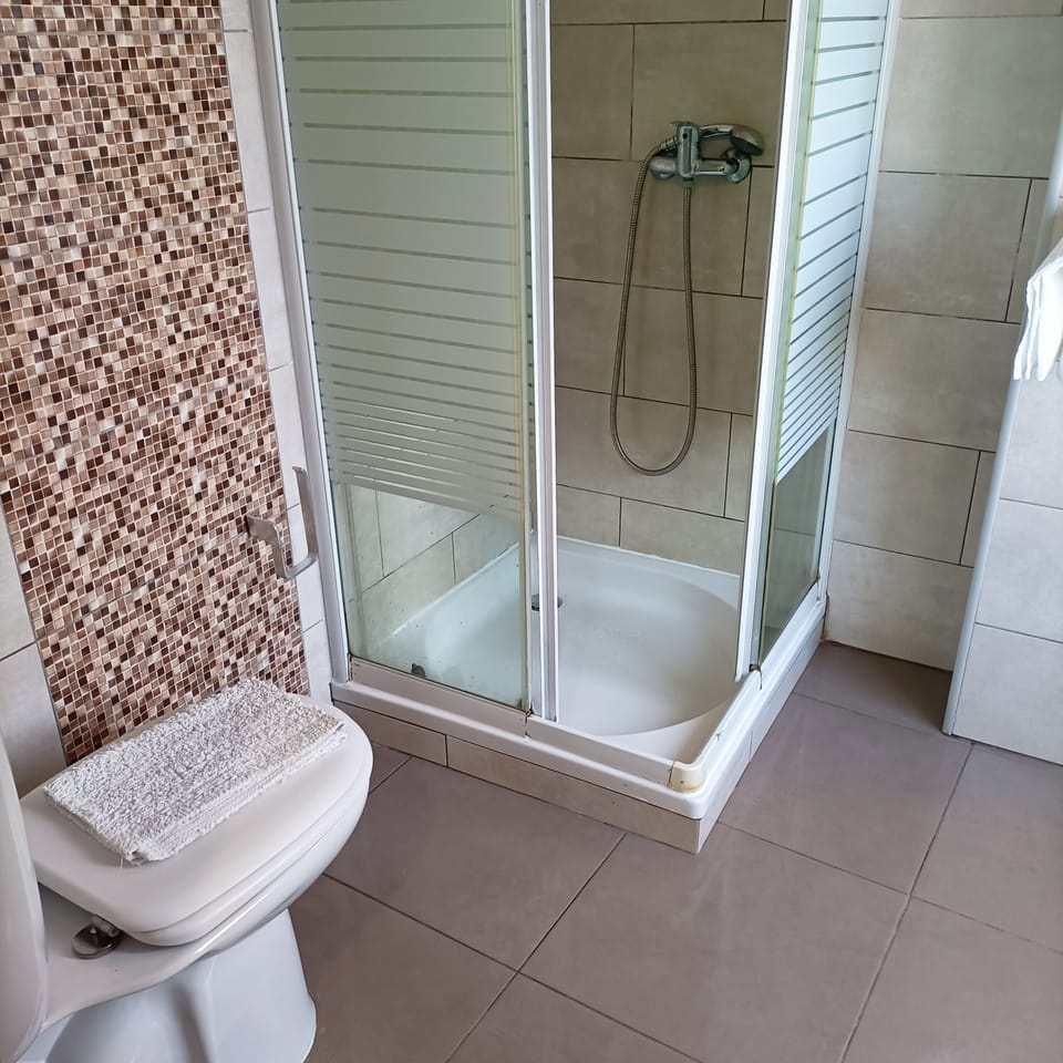 Double or Twin Room, Private Bathroom | Bathroom | Shower, hair dryer, bidet, towels