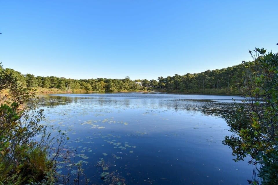 Minister's Pond