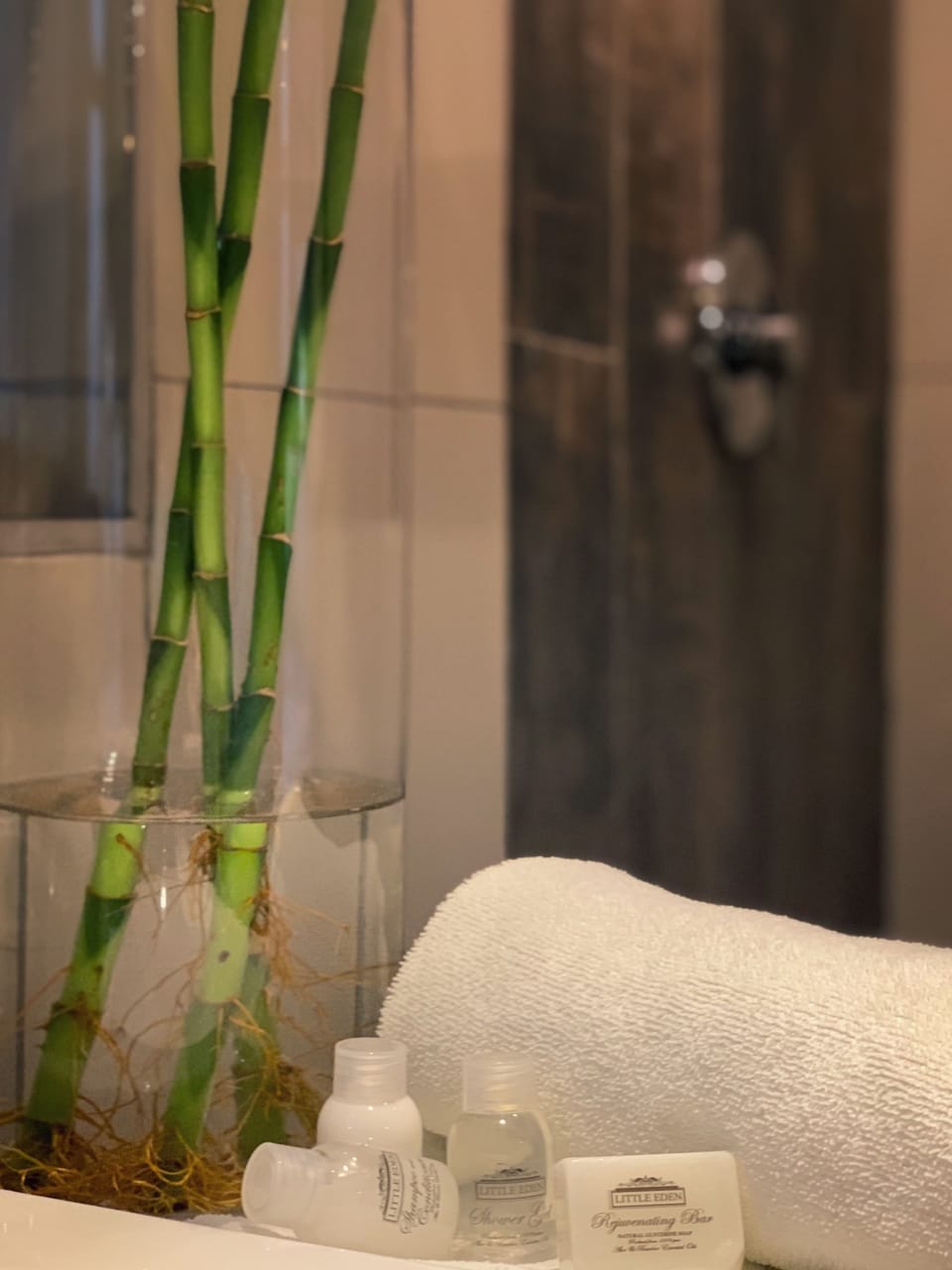 Standard Suite, 1 Queen Bed, Accessible, Non Smoking | Bathroom | Free toiletries, hair dryer, towels