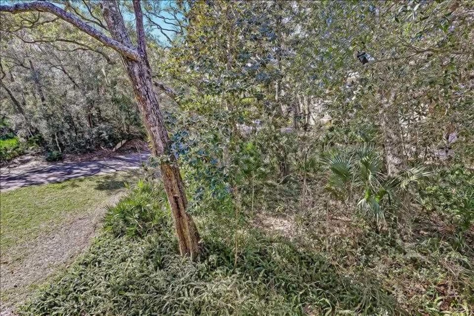 View from Balcony