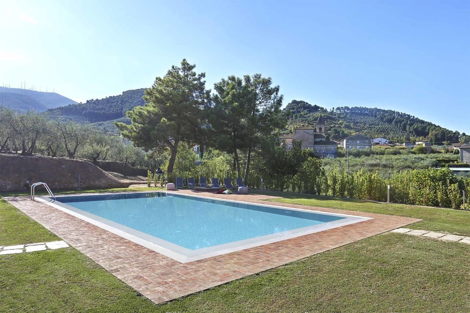 Garden, Outdoor, Pool, Scenic View
