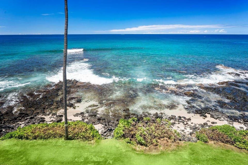 Oceanfront Views