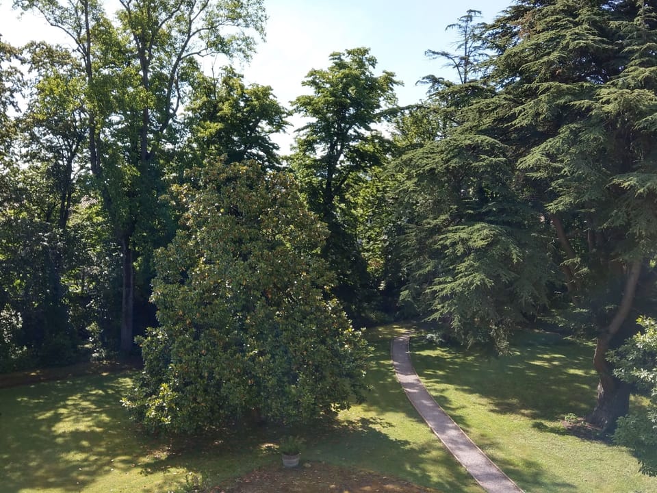 Double Room, 1 King Bed, Ensuite, Park View | View from room
