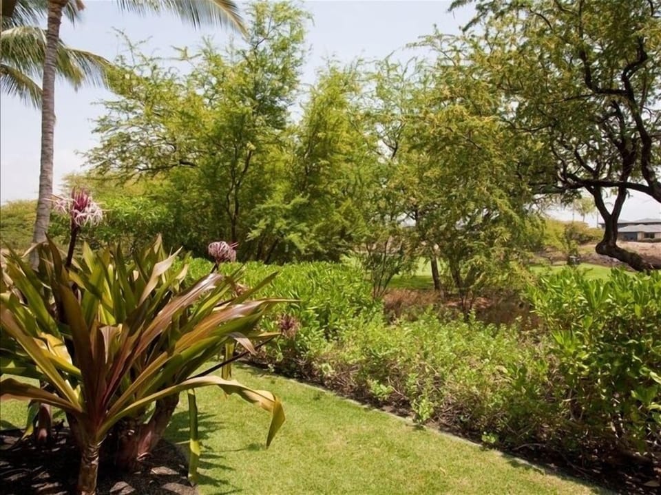 View from Lanai....privacy yet also great view of golf course
