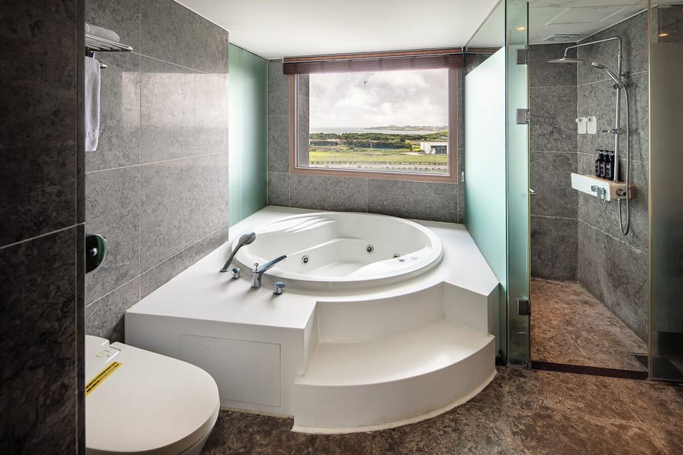 Premier Room, 1 King Bed, Jetted Tub, City View | Bathroom | Shower, hair dryer, slippers, bidet