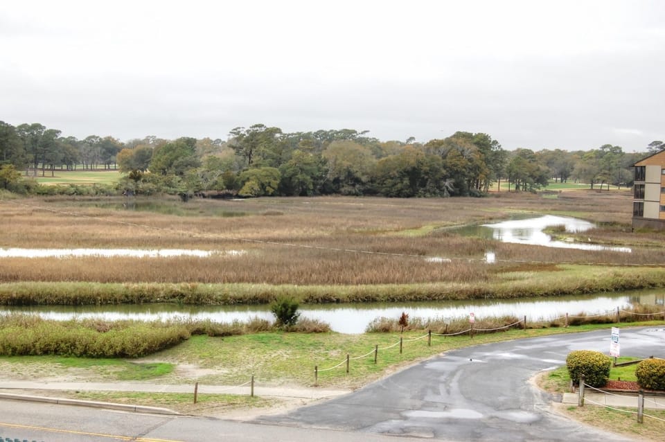 Marsh