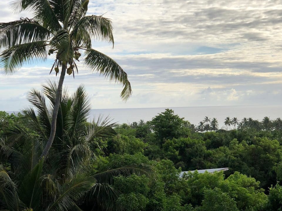View from Driftwood