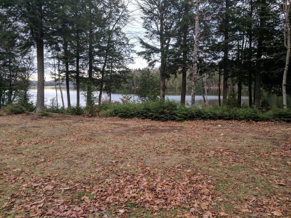 Late autumn