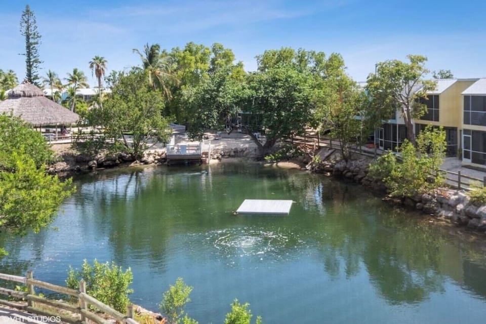 Saltwater Lagoon