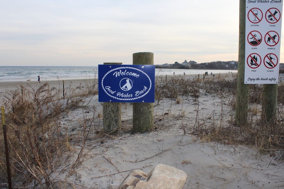 Good Harbor Beach... less than a five minute walk from the house!