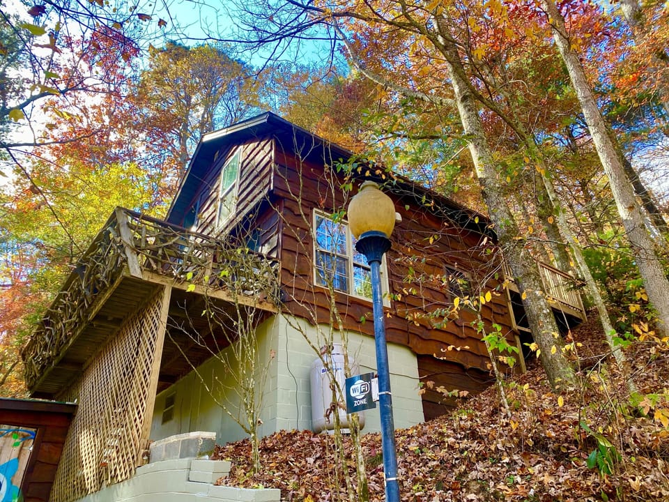 Hootowl cabin, mountain views in the forest. Point Lookout Vineyards very close!