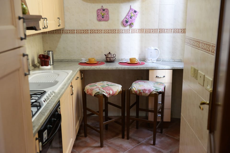 Apartment, 1 Bedroom | Private kitchen | Fridge, microwave, oven, stovetop