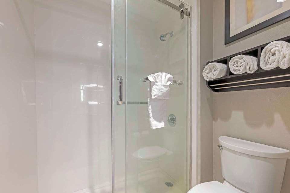 Combined shower/tub, free toiletries, hair dryer, towels