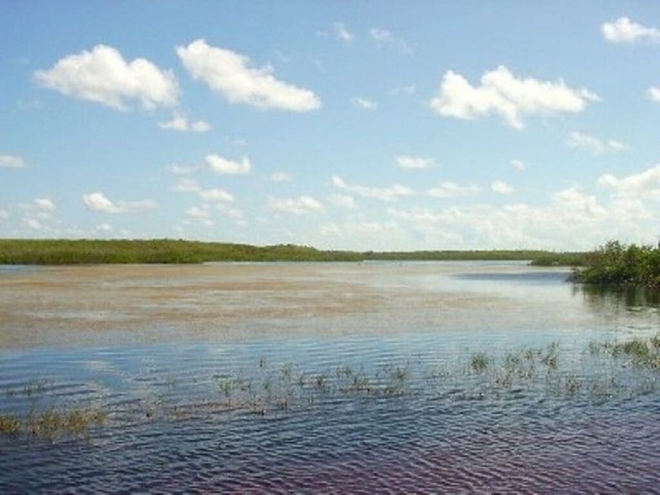 Buttonwood pond